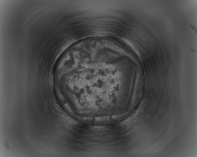 X0000093100835200710171159
