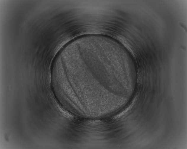 X0000093100837200710171159