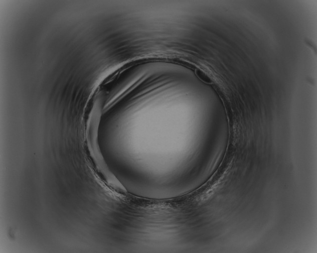 X0000093100838200710171159