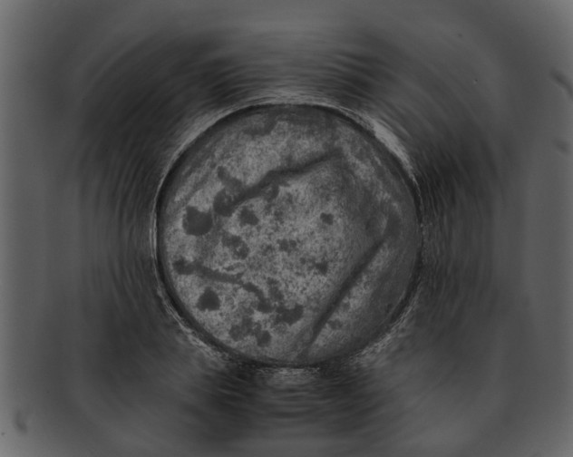 X0000093100839200710171159