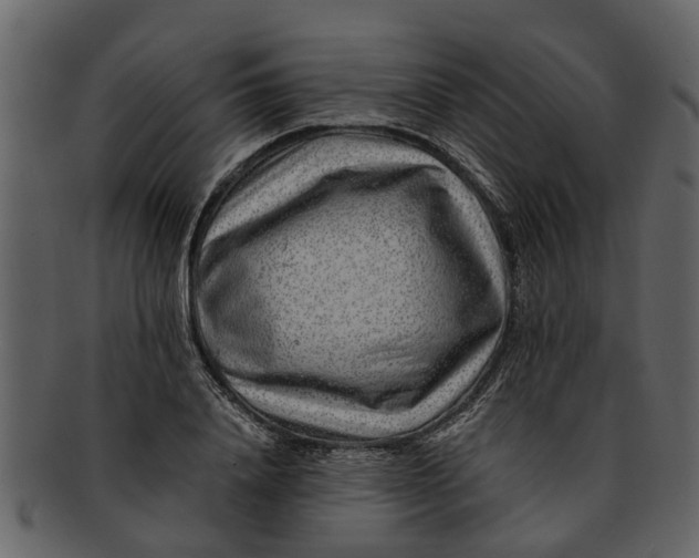 X0000093100840200710171159
