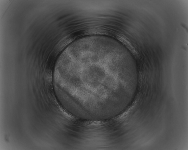 X0000093100841200710171159