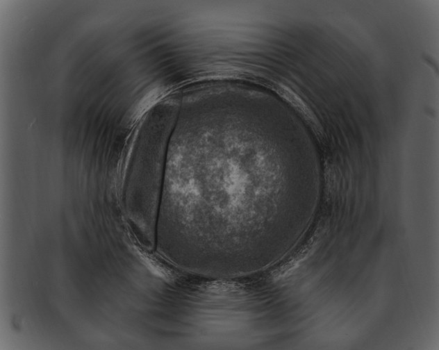 X0000093100842200710171159