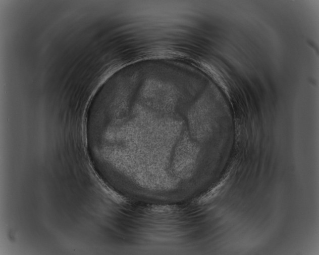 X0000093100843200710171159