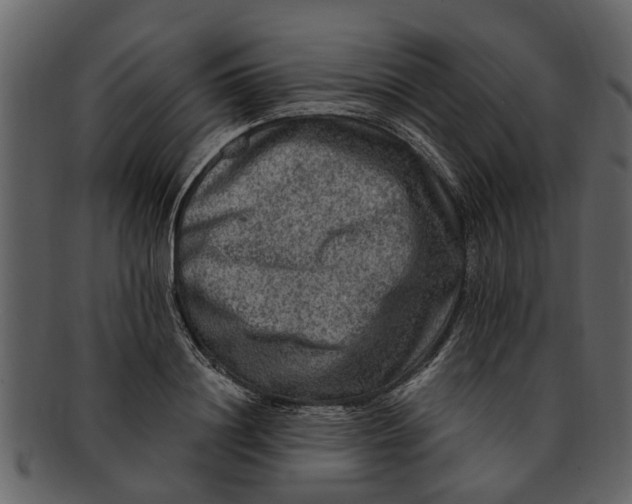X0000093100844200710171159