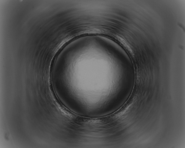 X0000093100845200710171159
