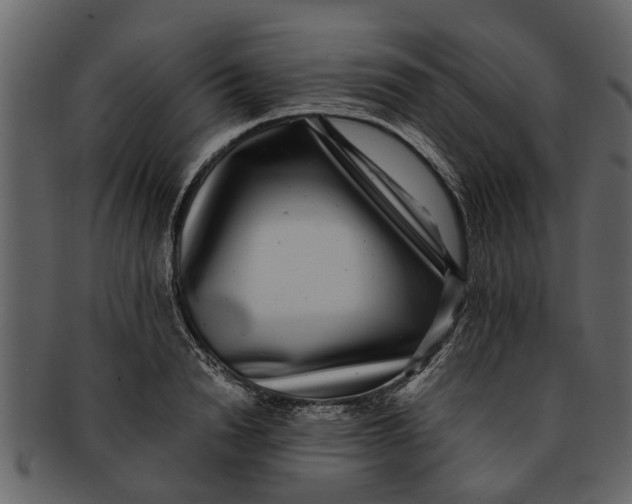 X0000093100846200710171159