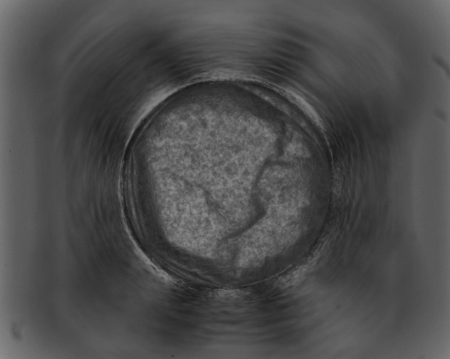 X0000093100847200710171159
