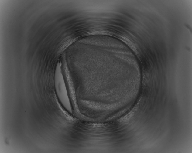 X0000093100849200710171159