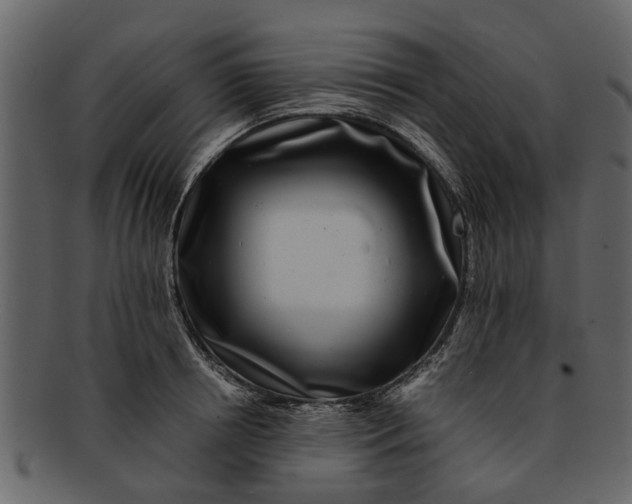 X0000093100850200710171159