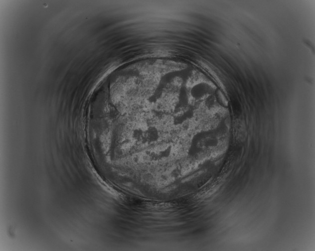 X0000093100851200710171159