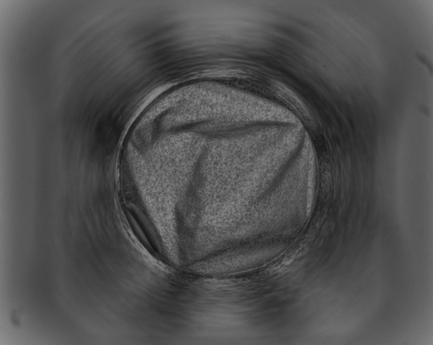 X0000093100852200710171159