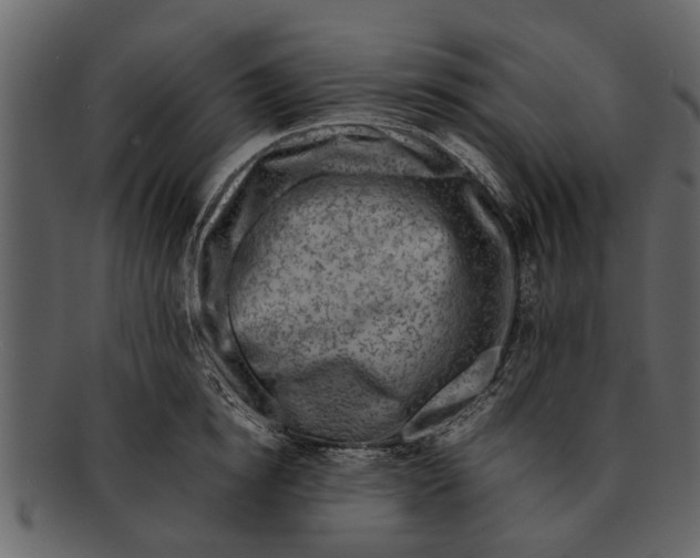 X0000093100854200710171159