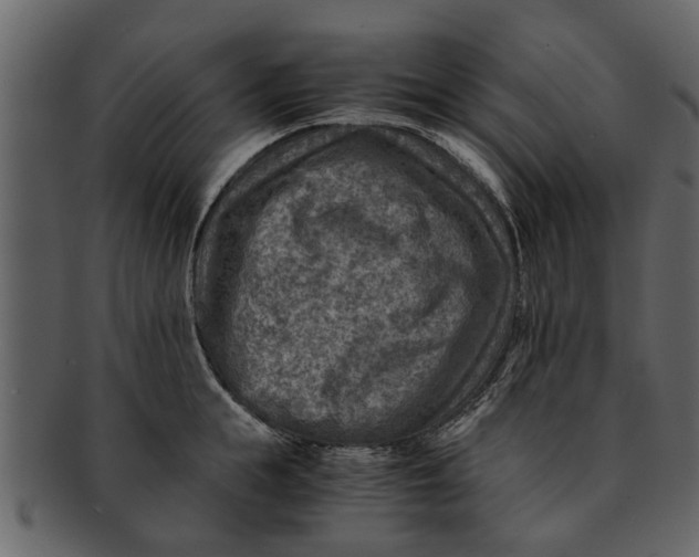 X0000093100855200710171159