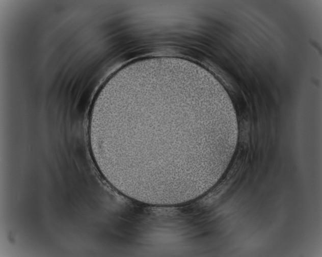 X0000093100856200710171159