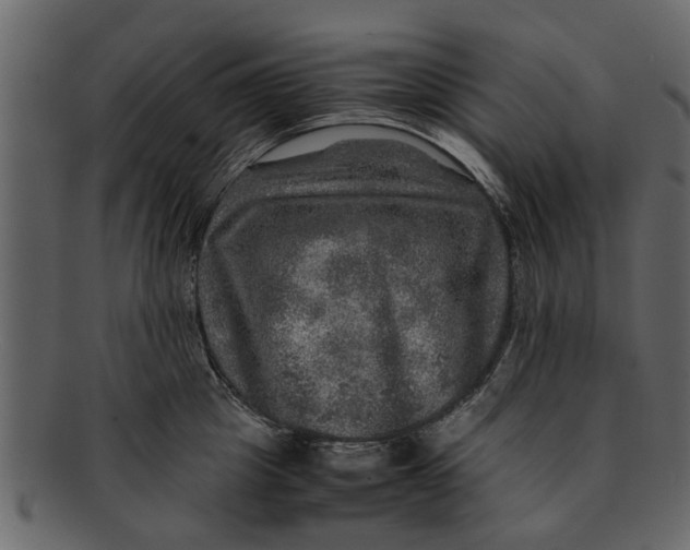X0000093100857200710171159