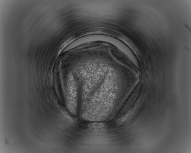 X0000093100858200710171159