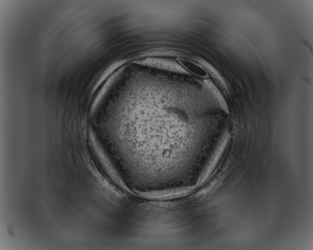 X0000093100860200710171159