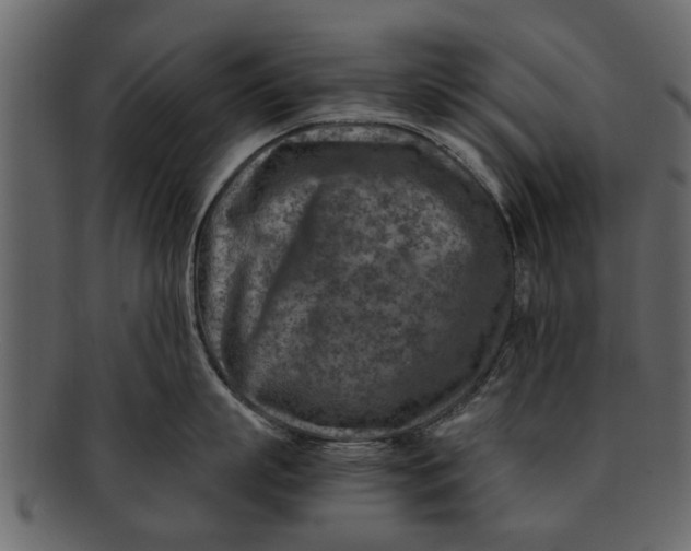 X0000093100863200710171159