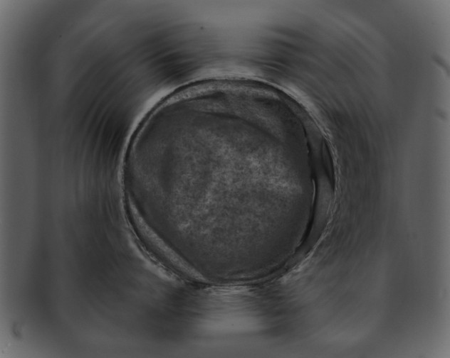 X0000093100864200710171159