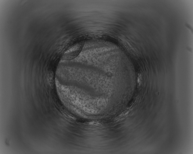 X0000093100867200710171158