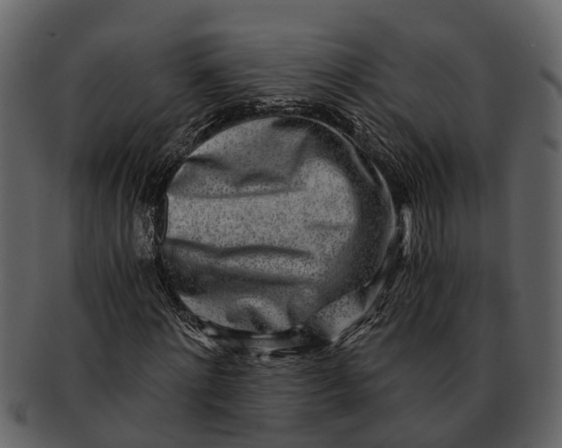 X0000093100868200710171158