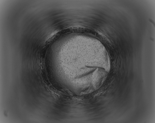 X0000093100870200710171158