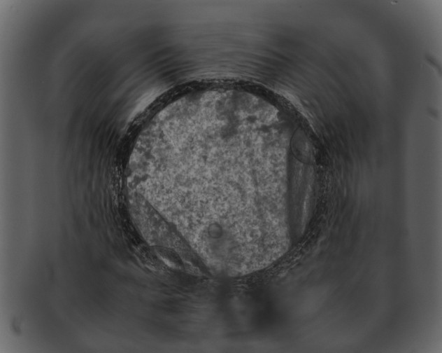 X0000093100871200710171158