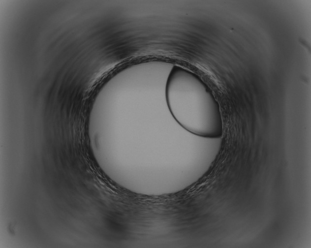 X0000093100872200710171158
