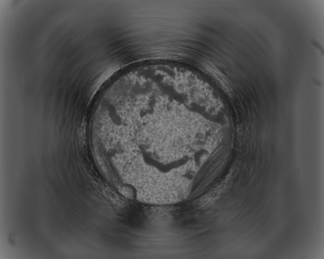 X0000093100875200710171158