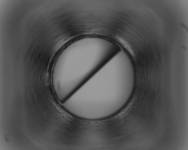 X0000093100876200710171158