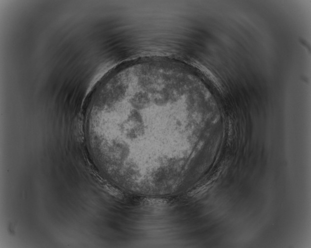 X0000093100878200710171158