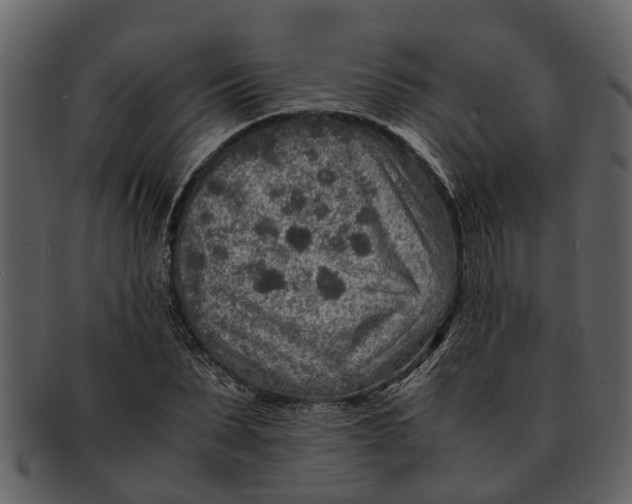 X0000093100879200710171158