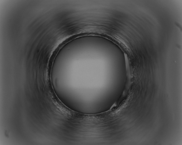 X0000093100880200710171158