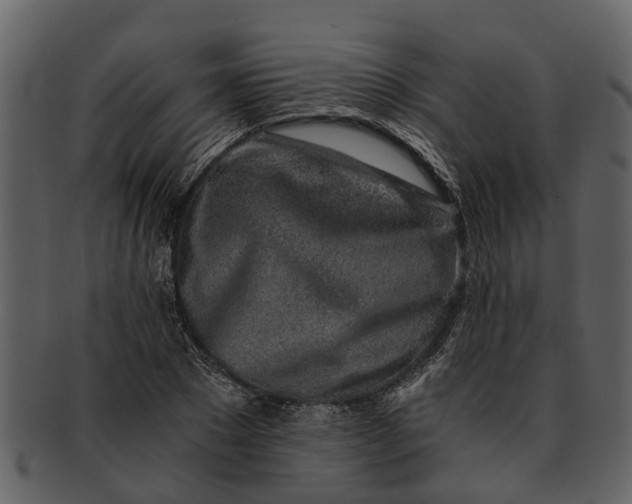 X0000093100881200710171158