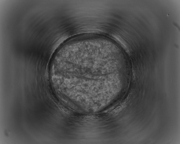 X0000093100883200710171158