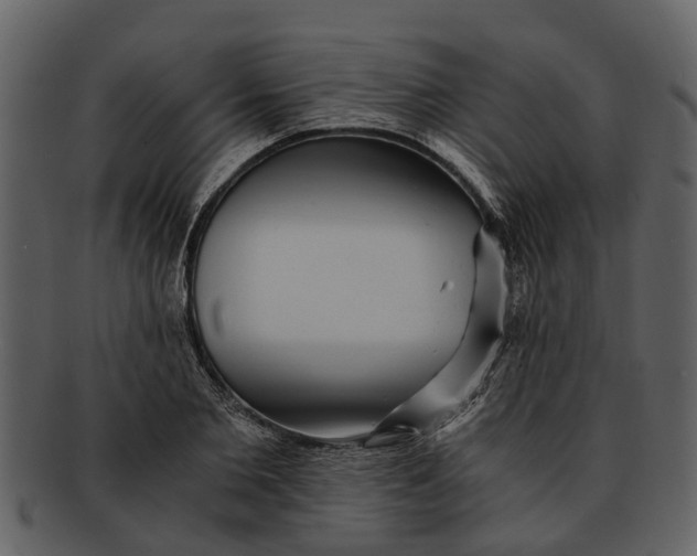 X0000093100885200710171158