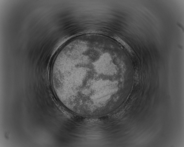 X0000093100886200710171158