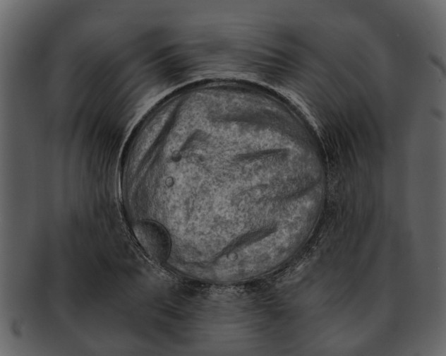 X0000093100887200710171158