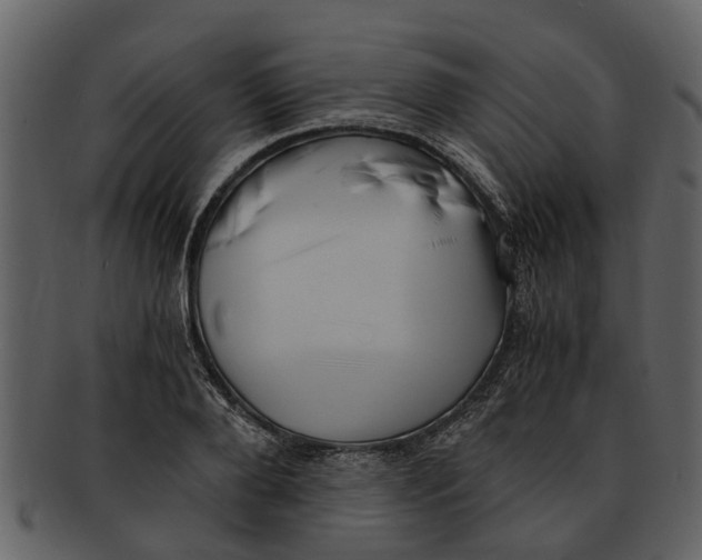 X0000093100888200710171158