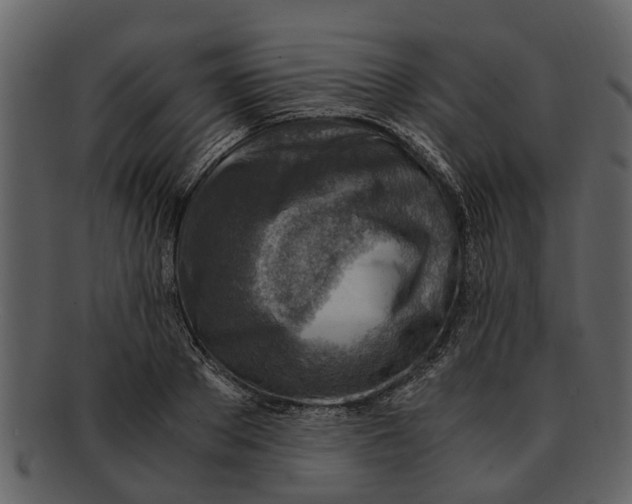 X0000093100889200710171158