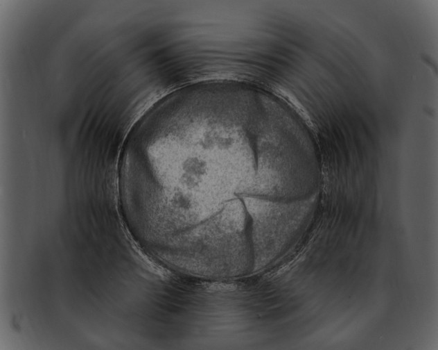 X0000093100890200710171158