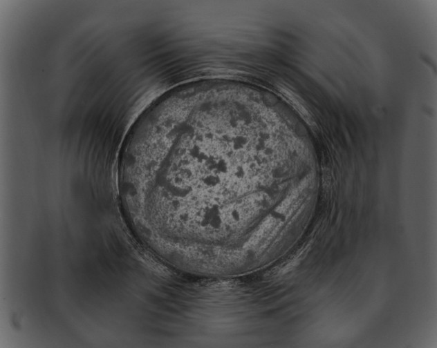 X0000093100891200710171158