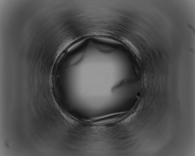 X0000093100893200710171158