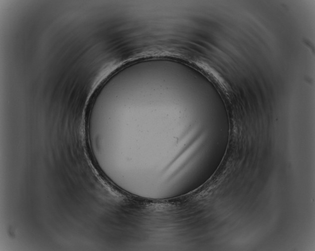 X0000093100894200710171158