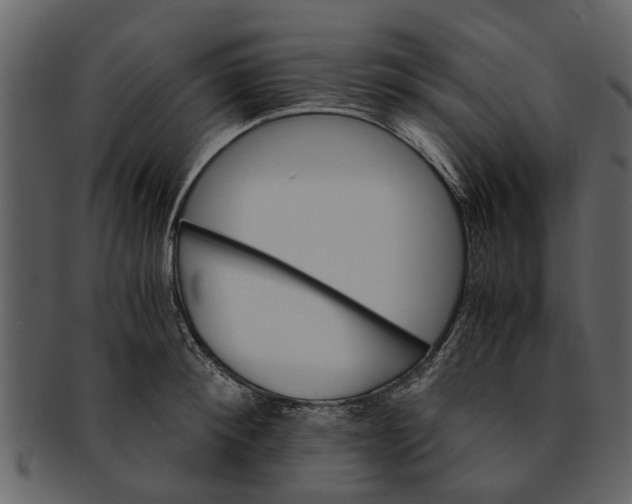X0000093100900200710171158
