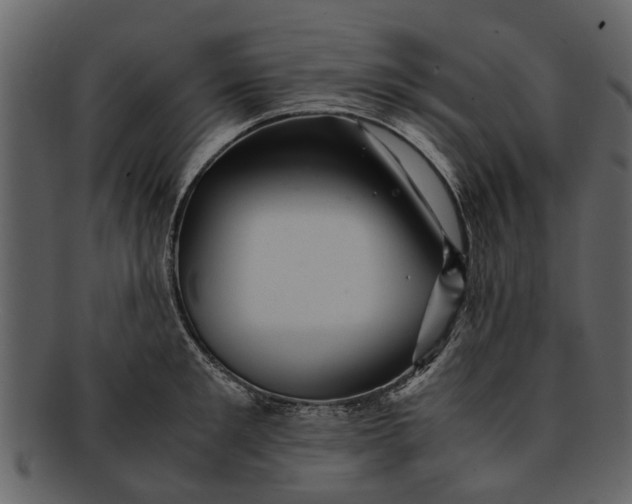 X0000093100901200710171158