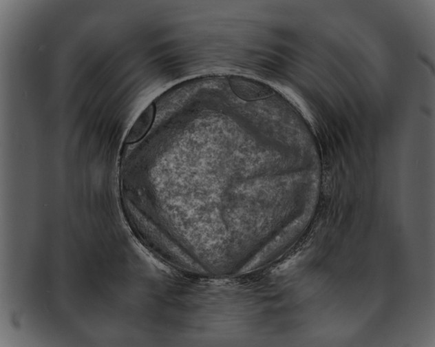 X0000093100903200710171158