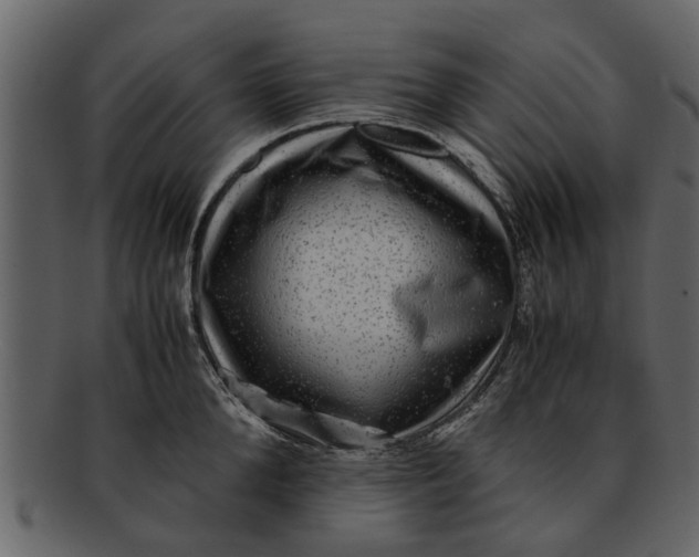 X0000093100904200710171158
