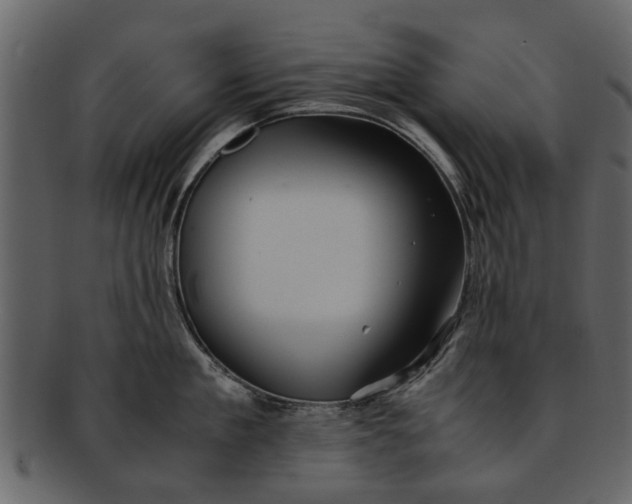 X0000093100909200710171158